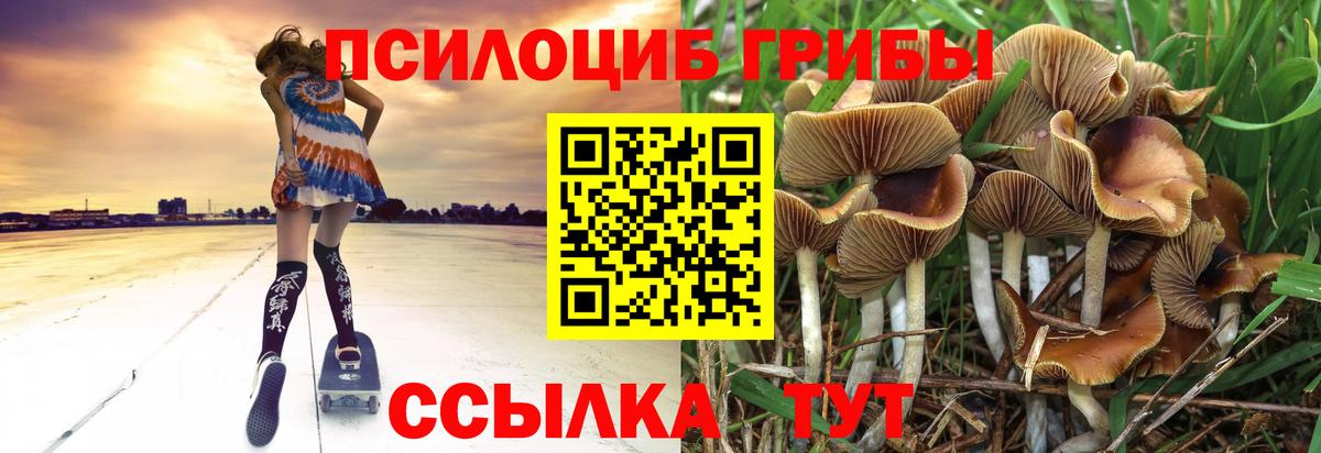 Галлюциногенные грибы Psilocybine cubensis Соликамск