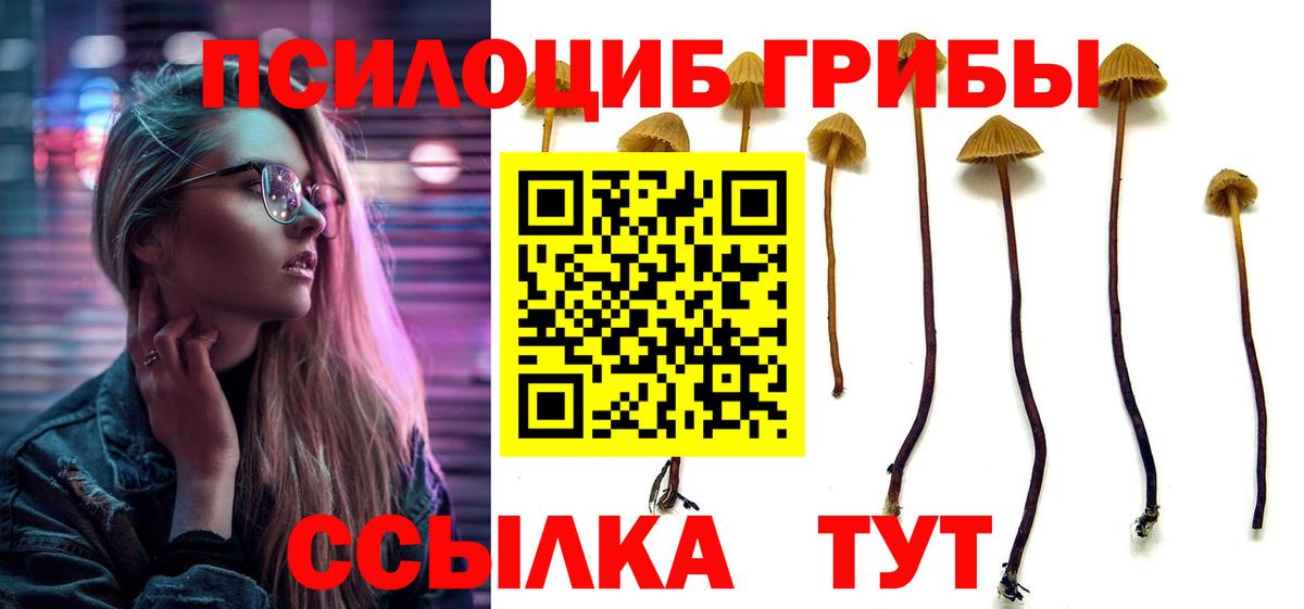 как найти наркотики  Псилоцибиновые грибы GOLDEN TEACHER  Псилоцибиновые грибы ЛСД  Вход с VPN  Соликамск 